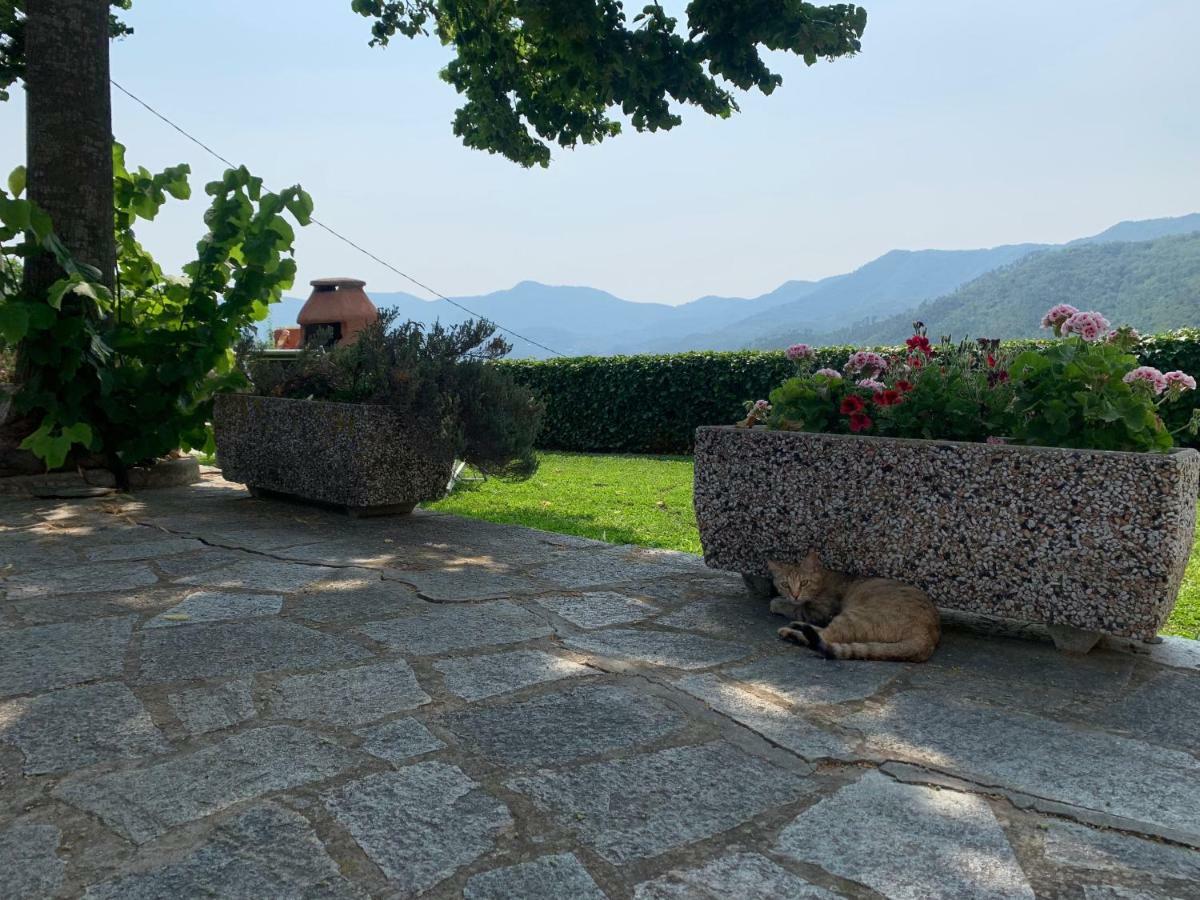 Agriturismo Gli Ulivi Garlenda Exterior foto